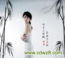 文山住房公积金查询